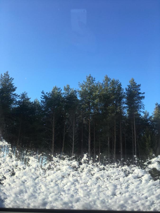 Kaeaenu Puhkemaja Villa Rakvere Eksteriør bilde