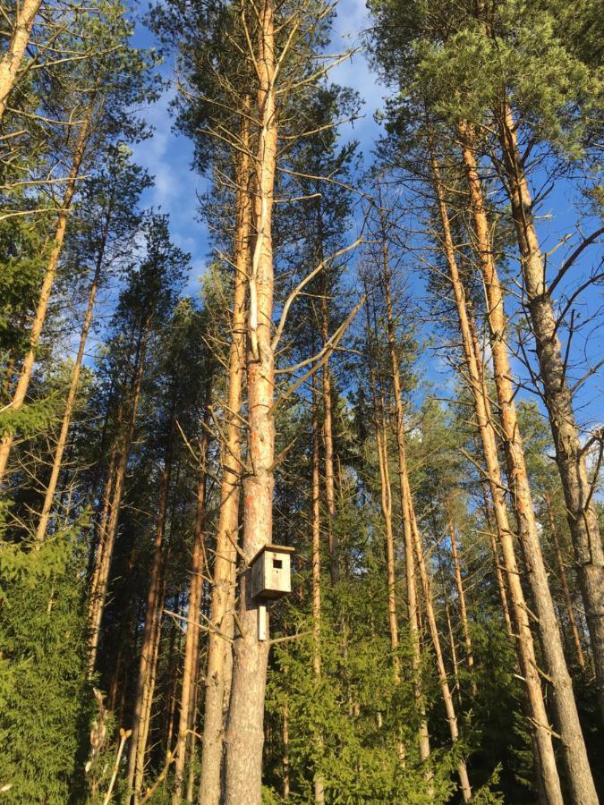 Kaeaenu Puhkemaja Villa Rakvere Eksteriør bilde