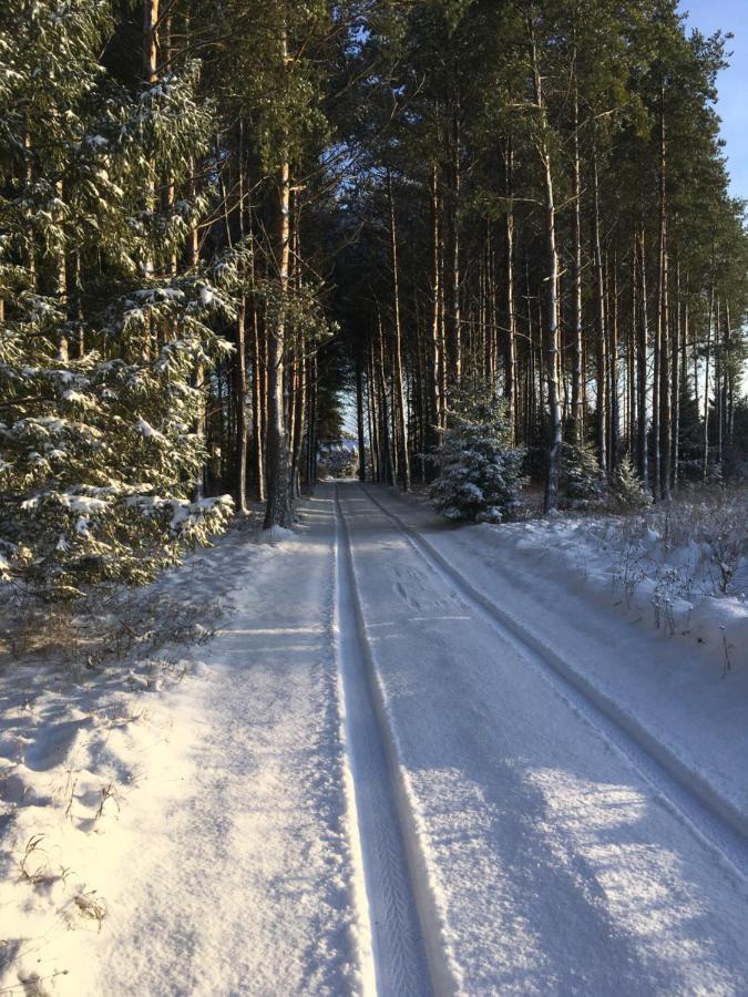 Kaeaenu Puhkemaja Villa Rakvere Eksteriør bilde
